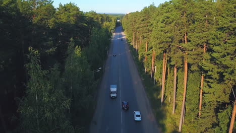 forest road with cars