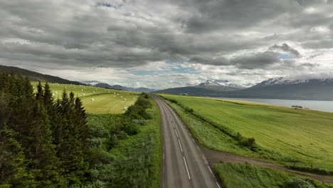 Road-passing-in-between-agricultural-fields-in-Iceland-aerial-shot-sunny-day