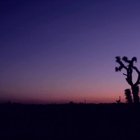 the sky darkens in the desert at golden hour
