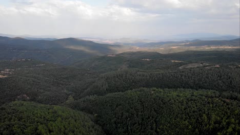 drone video over green dense forest cloudy summer day