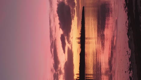 vertical tracking shot behind palm tree trunk revealing bay at colorful sunset, isle of pines