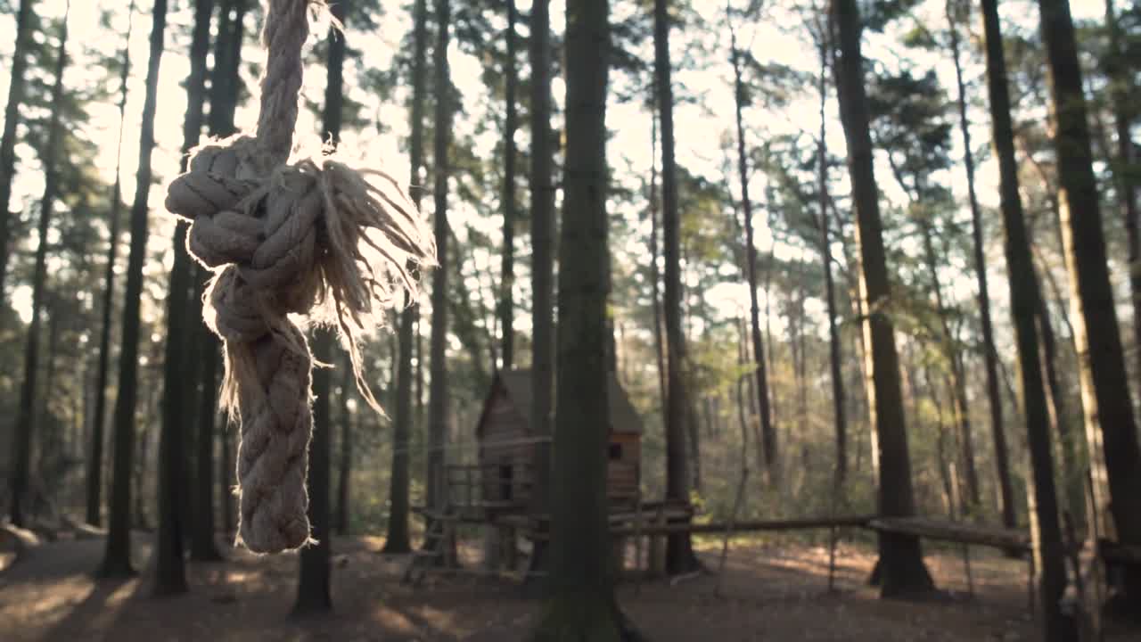 nudo de cuerda en un bosque