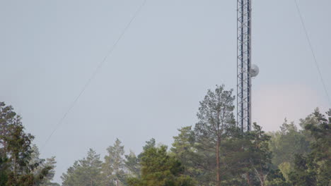 Juxtaposition-of-mast-steel-structure-sticking-into-sky-above-natural-treeline