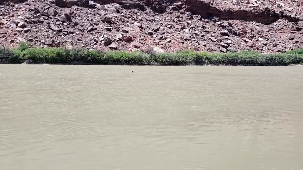 chico se sienta a flotar en el río en utah