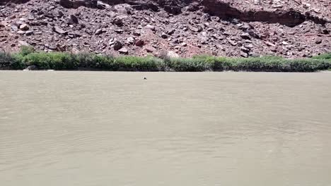 Chico-Se-Sienta-A-Flotar-En-El-Río-En-Utah