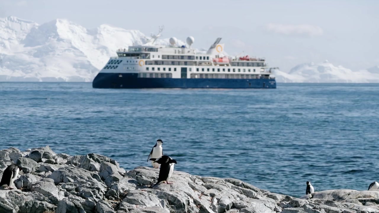 Rempingviner på den klippefyldte kyst i Antarktis, med Quark Expeditions' polarskib Ultramarine i baggrunden. Vidvinkelbillede.