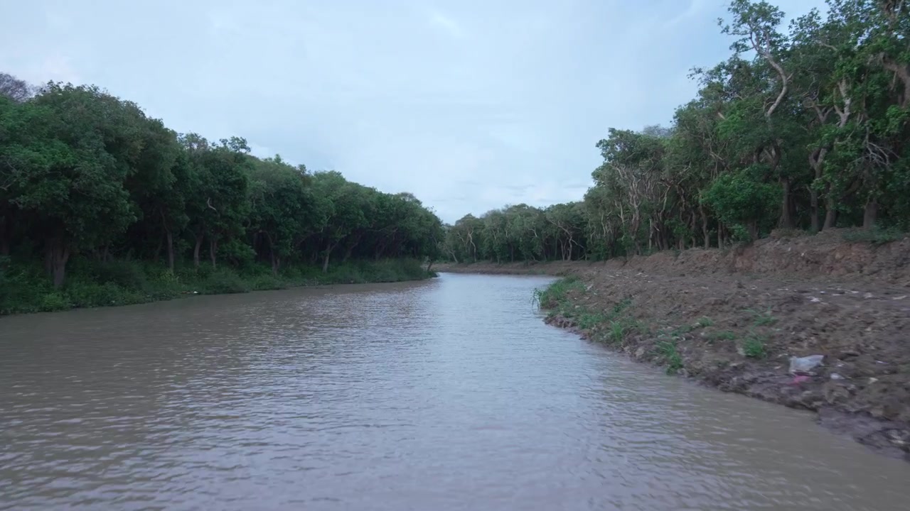 Barco navegando por el río Mekong a través de la selva tropical, Laos.