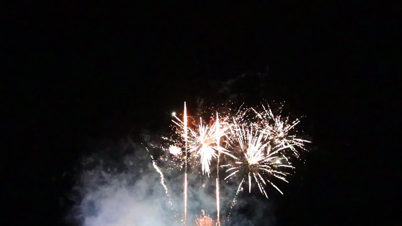 Spettacoli di fuochi d'artificio di notte
