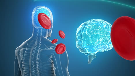 animación del cerebro y el cuerpo humano con células y sobre fondo azul