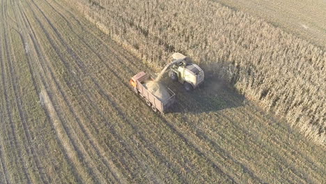 Flying-over-machinery-harvesting-on-cornfield