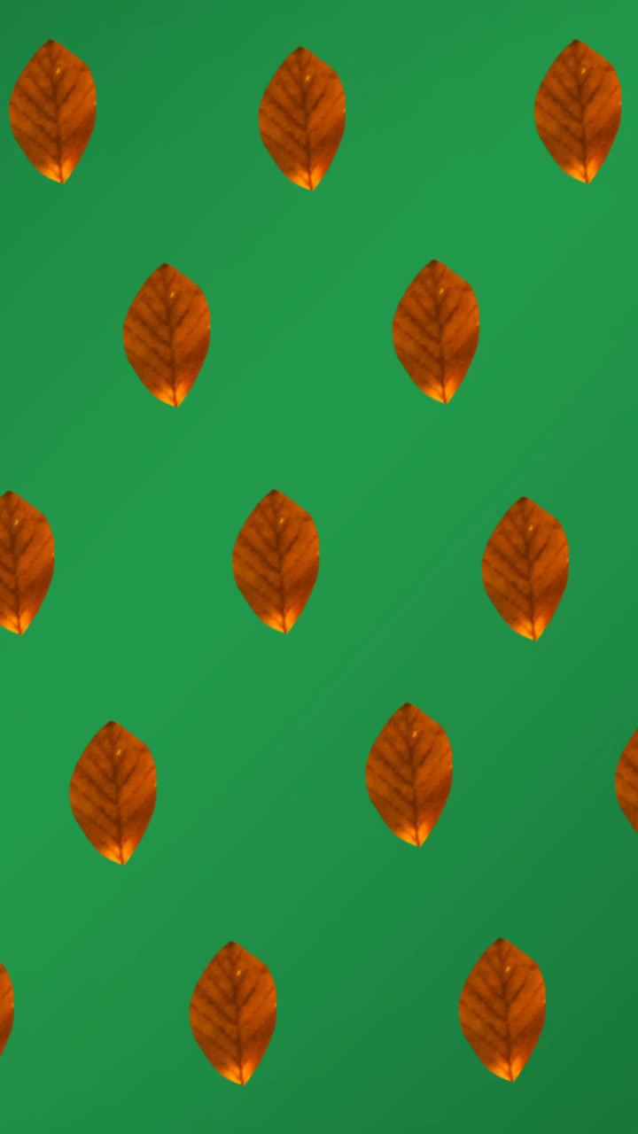 Animation of rows of orange autumn leaves on green background