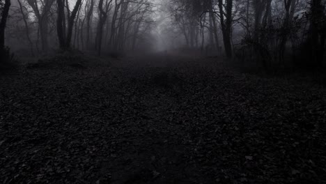 forest pathway on dark moody misty day in horror scene, dolly backward shot