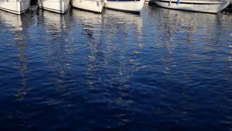 ondas de agua 00