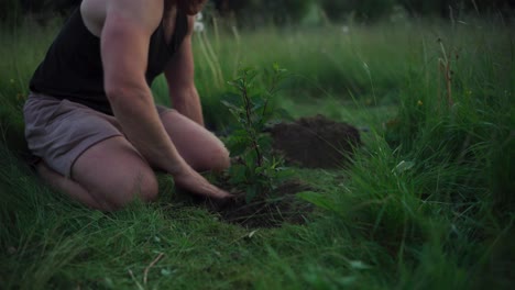 close up of man planting tree in the garden