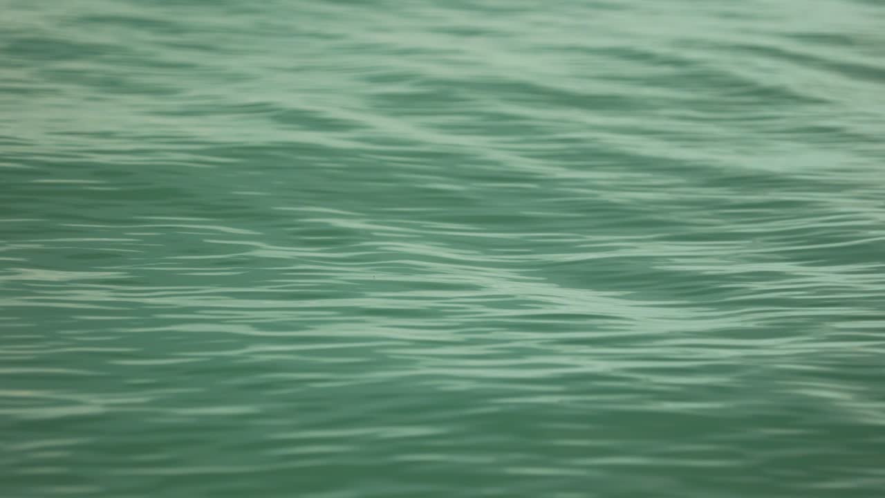 olas en el lago balaton, cámara lenta