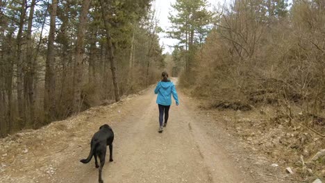 girl walking on mountain trail in forest with black dog