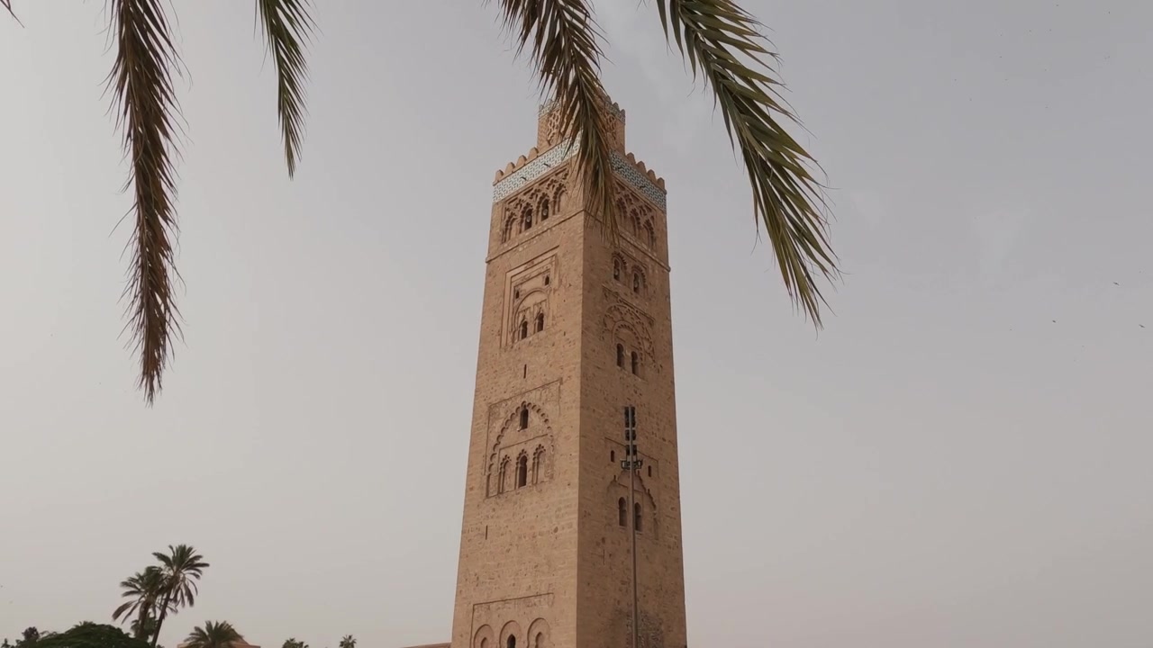 Vista in avvicinamento del minareto dietro una palma, Moschea della Koutoubia a Marrakech