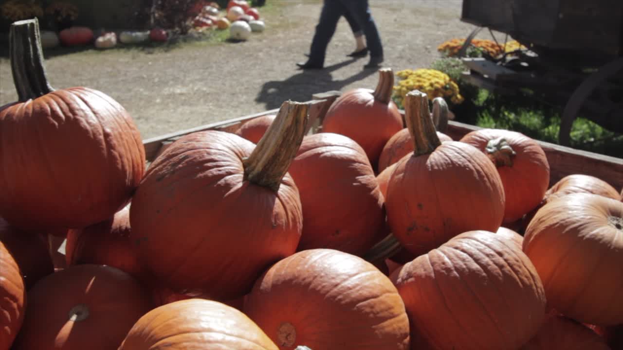 las calabazas caen en un vagón de madera antiguo