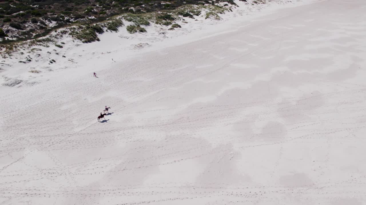고립된 해변의 백사장에서 말을 타는 관광객들의 공중 전망