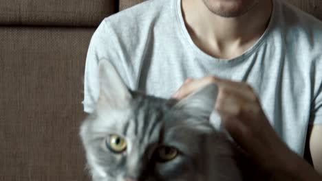 man caressing his cat