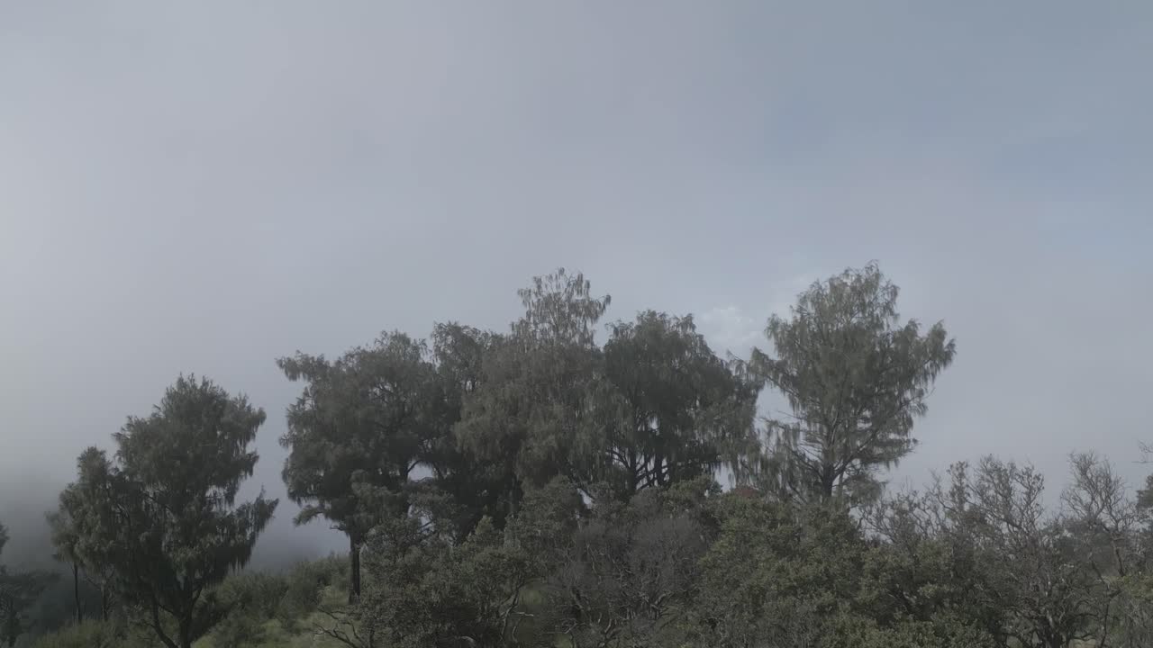 lawu 산 중앙 자바 인도네시아-8