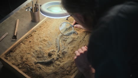 paleontologist examining fossil