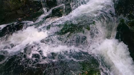 stream over rocks covered with moss in a rocky river