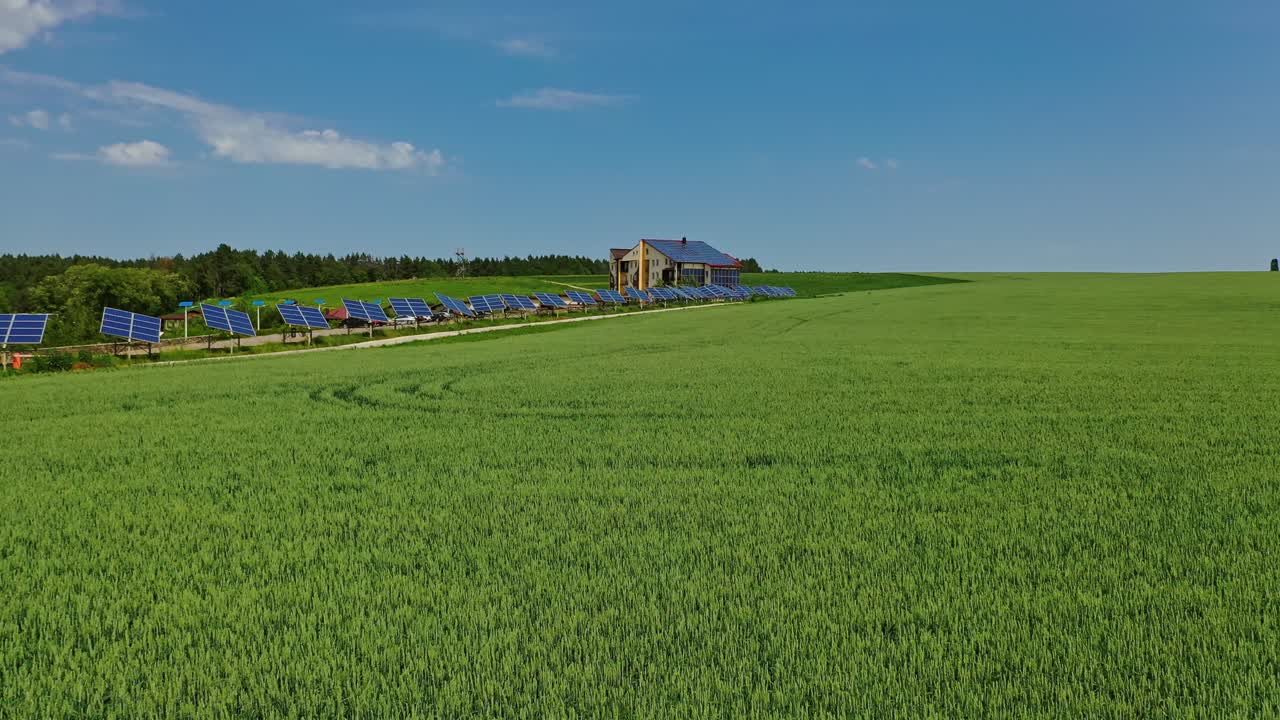 Luftfoto af grøn hvedemark. Luftfoto over grønne landbrugsmarker.