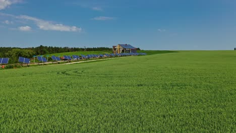 aerial green wheat field. aerial view over green agricultural fields