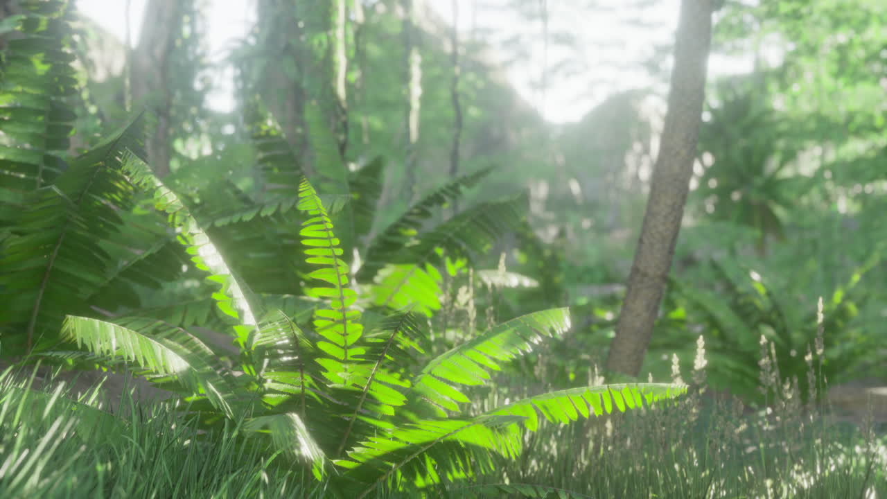 Una vegetazione lussureggiante mette in risalto la luce del sole che filtra attraverso una foresta tropicale