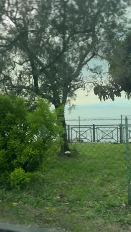 hermoso paisaje a orillas del lago con barcos y vegetación exuberante