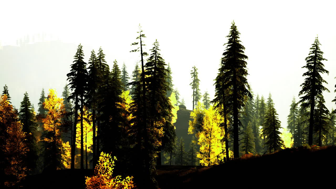 Forest landscape with golden foliage and tall trees in serene light