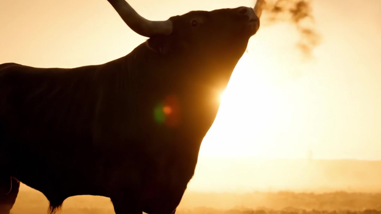 Toro maestoso sagomato contro un'alba dorata: una cattura mozzafiato dello splendore della natura e della bellezza della fauna selvatica in un paesaggio sereno