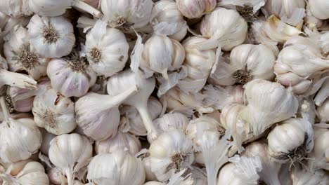 fresh-organic-garlic-from-farm-close-up-from-different-angle