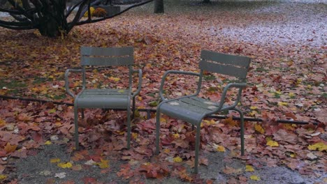 close up of two chairs in the with snow falling on the jardin du luxembourg leaves