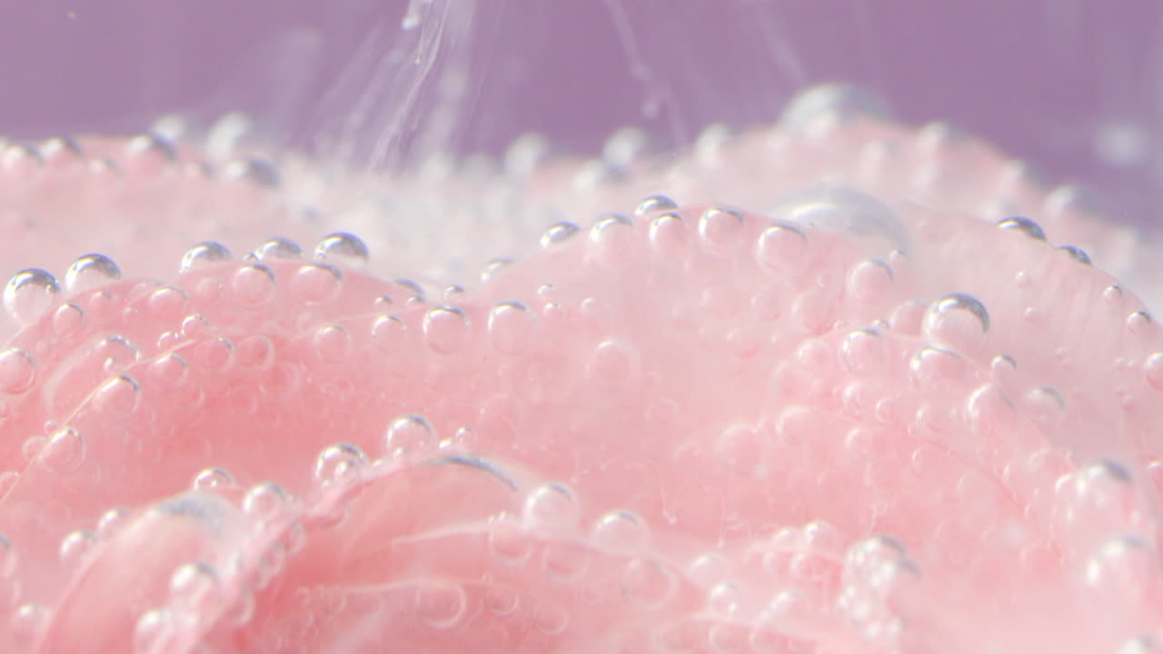 거품이 있는 물 속의 분홍색 장미