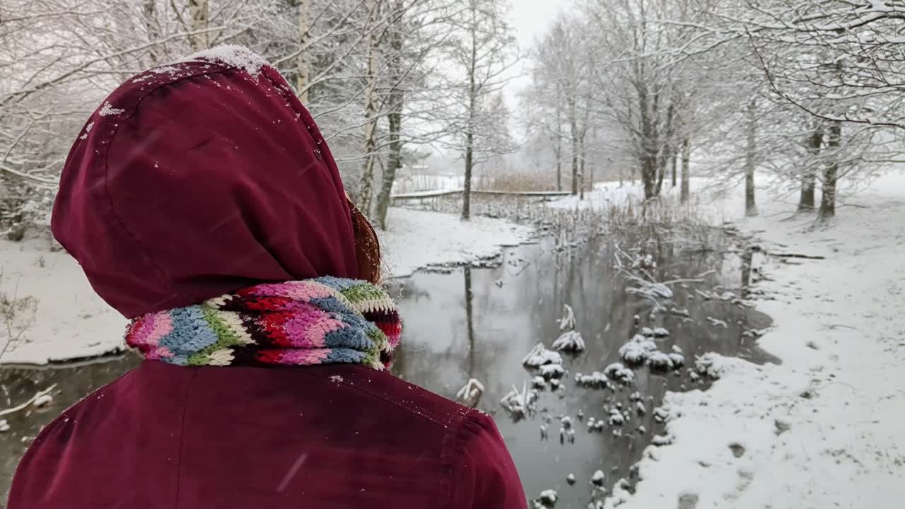 Woman looking at nature landscape on snowy winter day, back shot, snowing in frozen river view