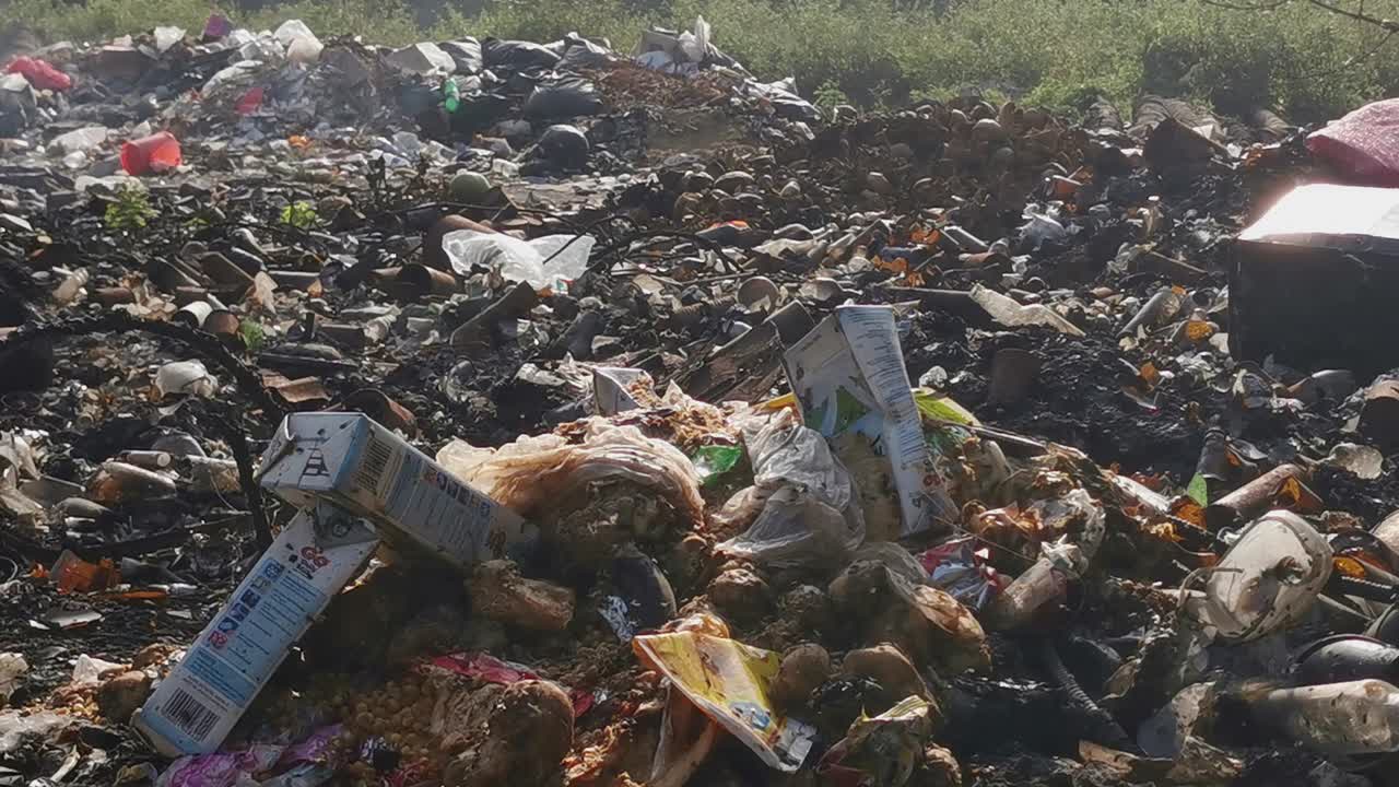 una gran cantidad de moscas se alimenta de la basura en un vertedero en la india en una isla remota en el mar de andaman