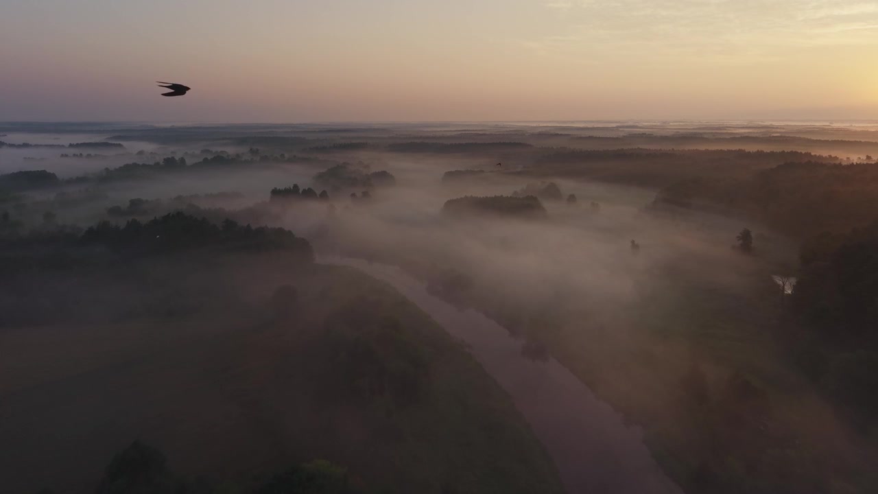 Veduta aerea di un fiume stretto che serpeggia tra campi e foreste sotto uno spesso strato di nebbia mattutina all'alba.