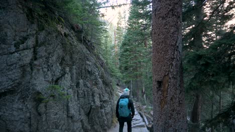 female hiking in a forest next to a rock wall and pine trees with a blue backpack and black clothing, tilt down