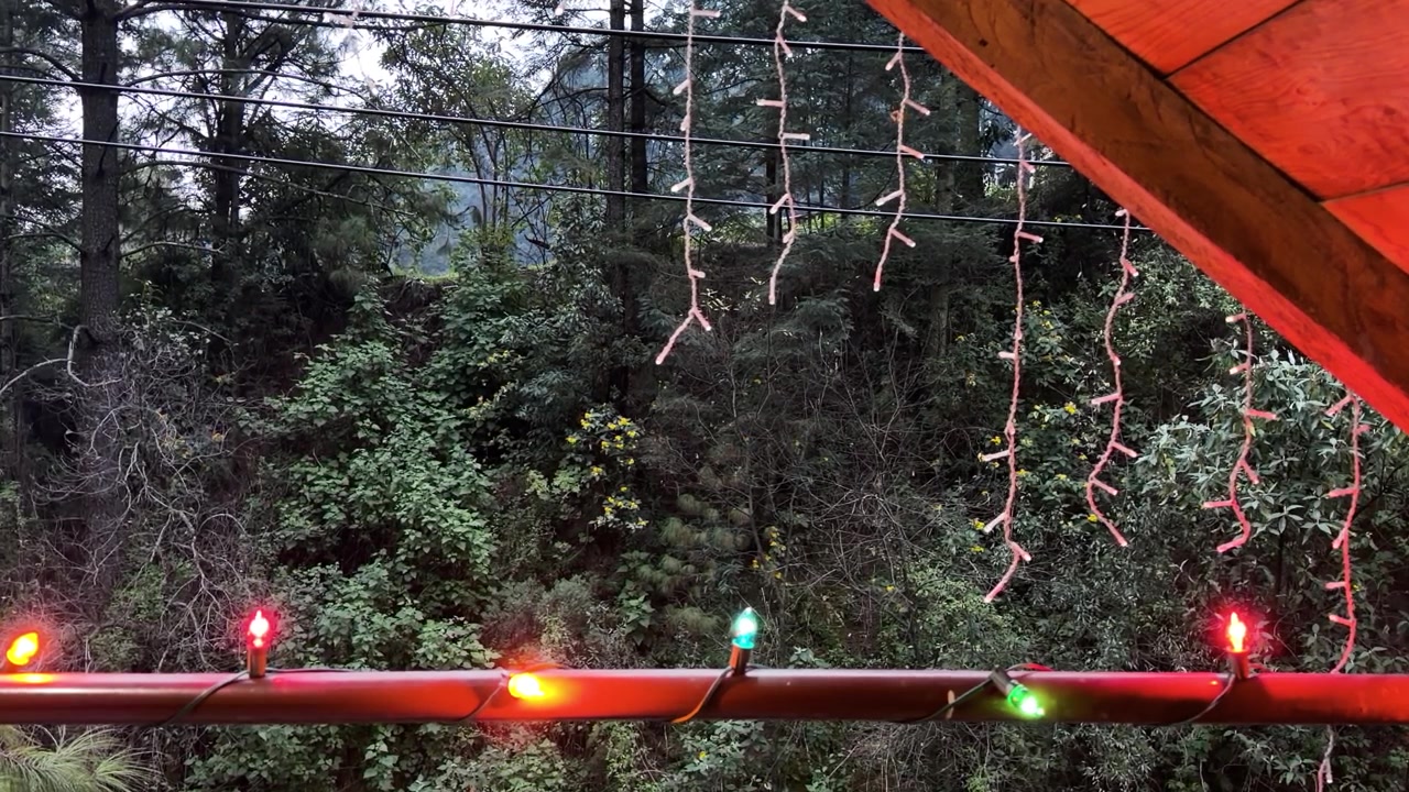 String of colorful retro Christmas lights decorating cozy wooden cabin in forest