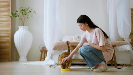 mujer alimentando gatos