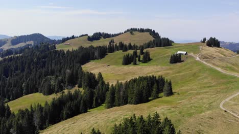 Ruhige-Alm-Am-Sommertag,-Kanton-Schwyz,-Schweiz,-Luftpanorama