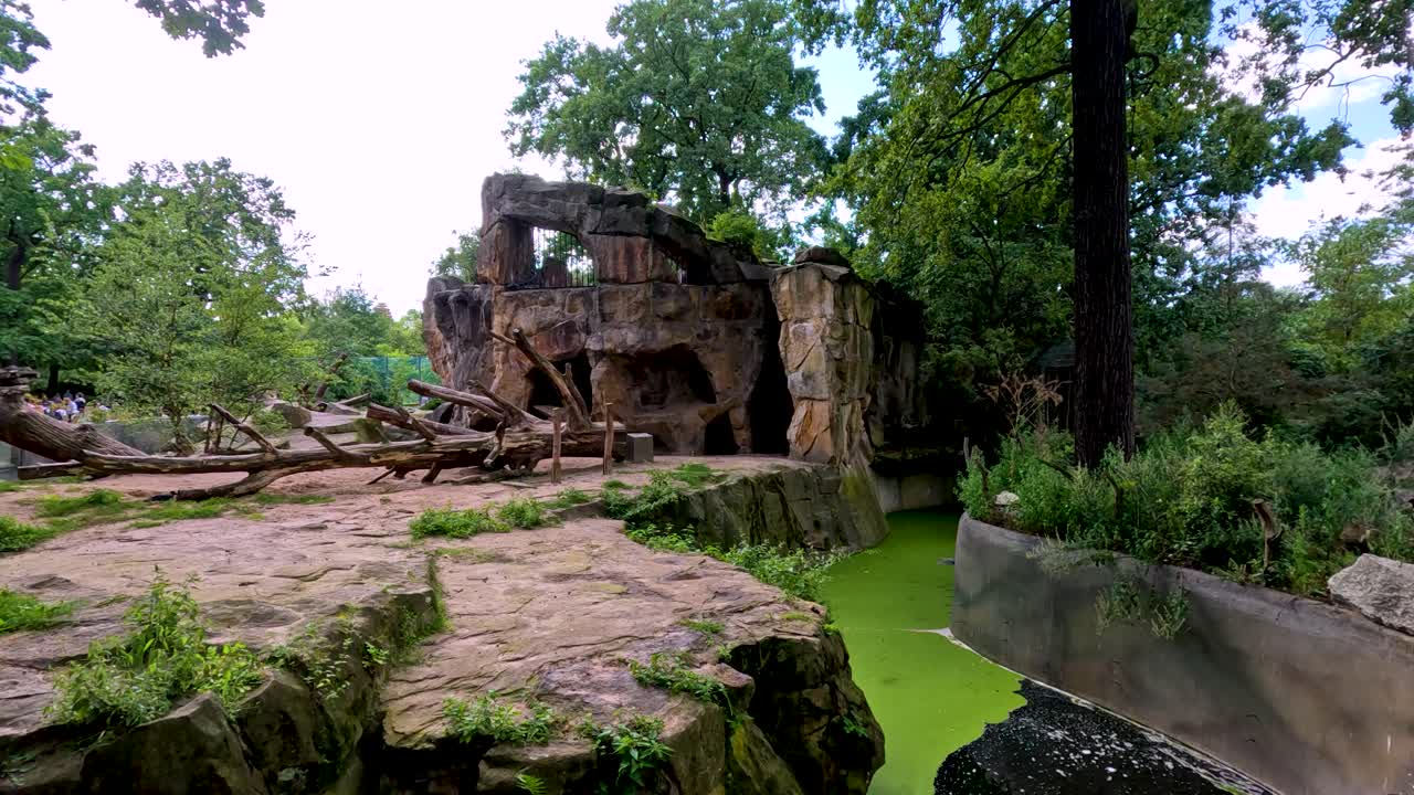 Wide-angle camera pans across a naturalistic bear habitat in Berlin Zoo, showing rocky terrain, green moat, wooden logs, and lush trees under daylight