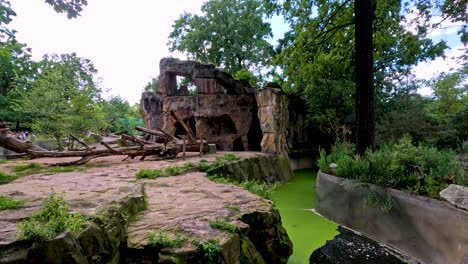 wide-angle camera pans across a naturalistic bear habitat in berlin zoo, showing rocky terrain, green moat, wooden logs, and lush trees under daylight