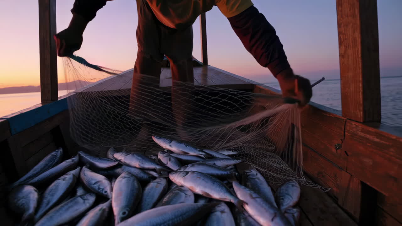 Fisherman Harvesting Fish at Sunrise
