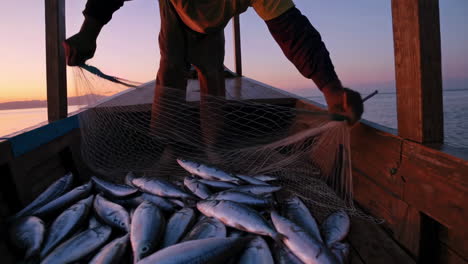 fisherman harvesting fish at sunrise