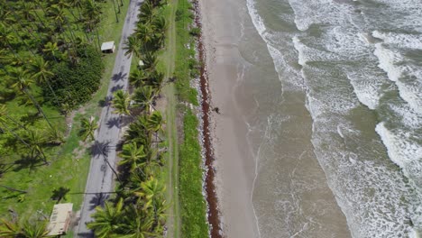 imágenes de drones de la playa de manzanilla en la costa este de trinidad