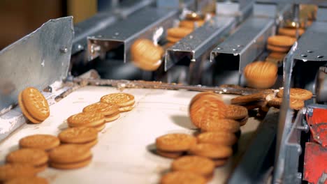 cookies are falling from mechanical ducts onto the conveyor belt