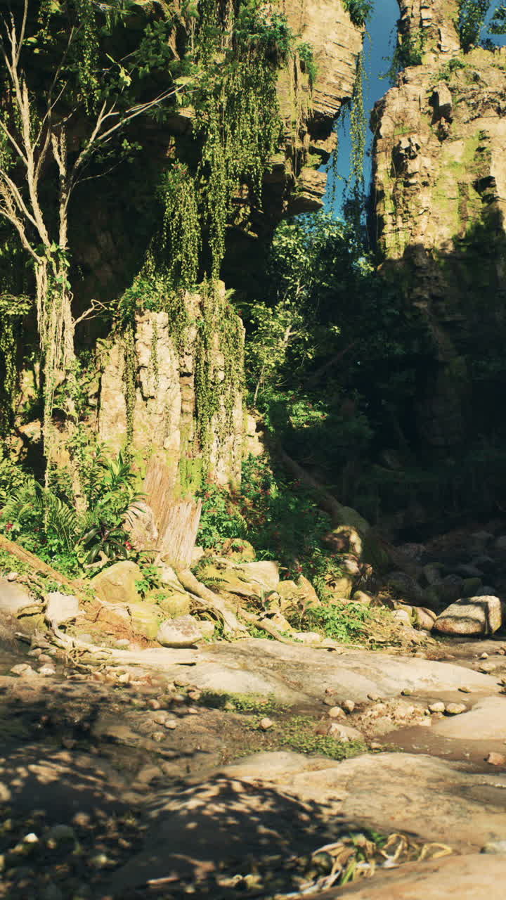 ruinas cubiertas de vegetación en una selva exuberante